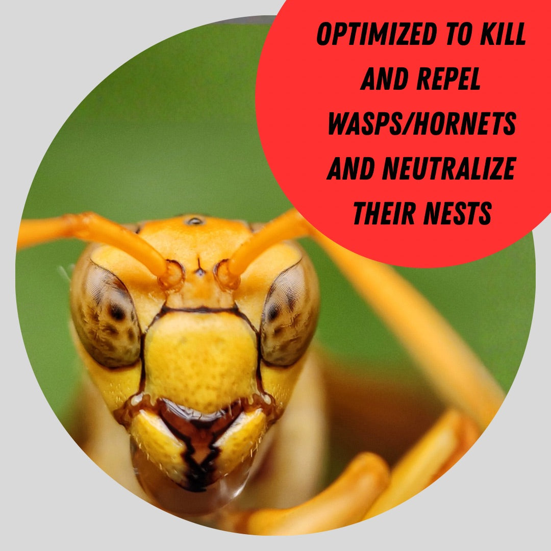 STINGER STOPPER™ SAFE INDOOR / OUTDOOR WASP + HORNET SPRAY