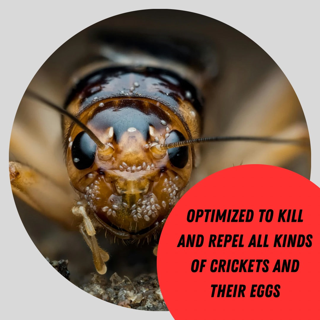 CRICKET CANCELLER™ SAFE INDOOR / OUTDOOR CRICKET SPRAY