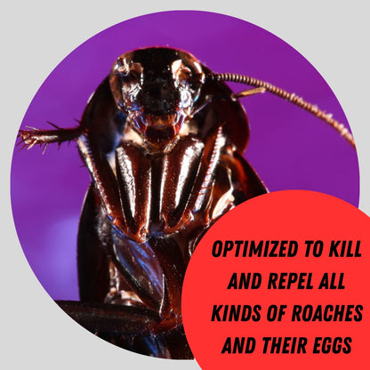ROACH DON'T APPROACH!™ SAFE INDOOR / OUTDOOR COCKROACH SPRAY