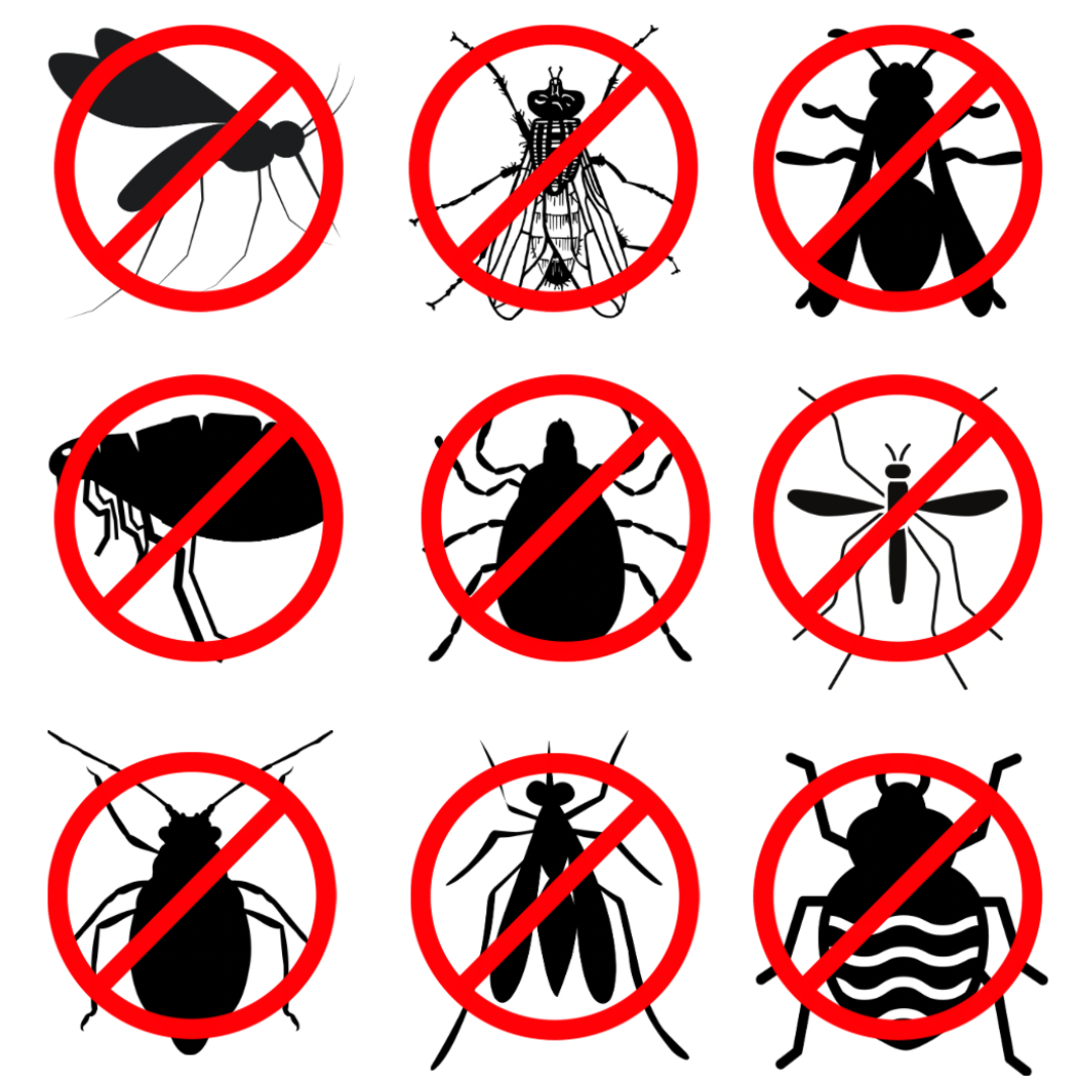 Skeeter Weeper™ Fogging System – Creeper Defeater