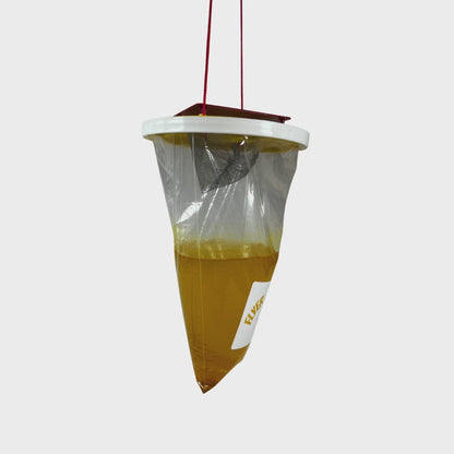 FLYER GOODBYER™ JUMBO NATURAL -BAIT FLY TRAP